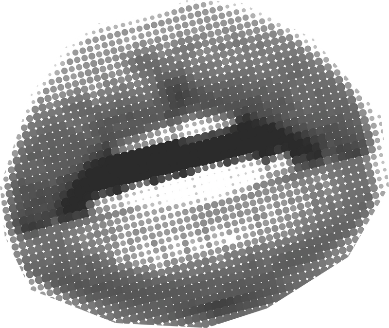 Halftone lips